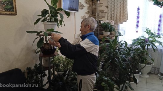 ГАУСО «Арский дом-интернат для престарелых и инвалидов» фото 4