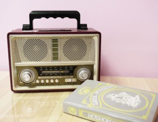 Пансионат «Добрые истории» пос. Дачное